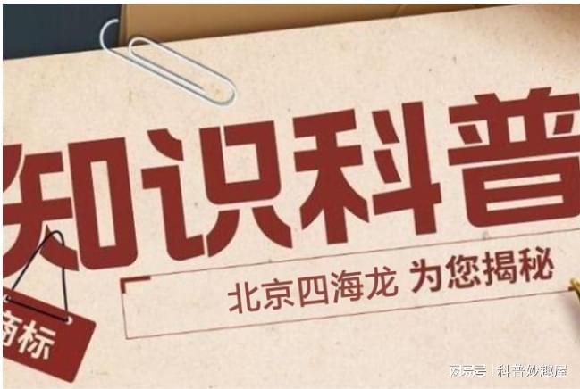 中國版權(quán)問題嚴(yán)峻的成因剖析-北京四海龍知識(shí)產(chǎn)權(quán)(圖2)